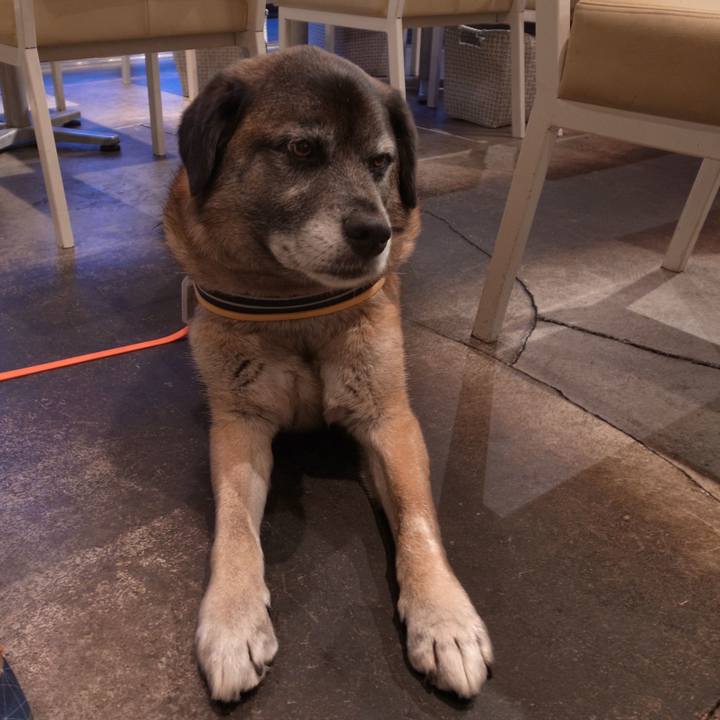 527380e0 d992 43e2 bed3 b56cf0613e76 1585733970522