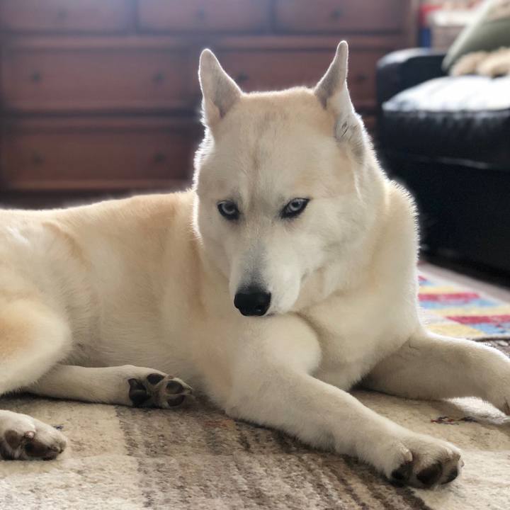 5273c2a5 289a 43d7 bc64 eaaf625cb2a3 1650591320862