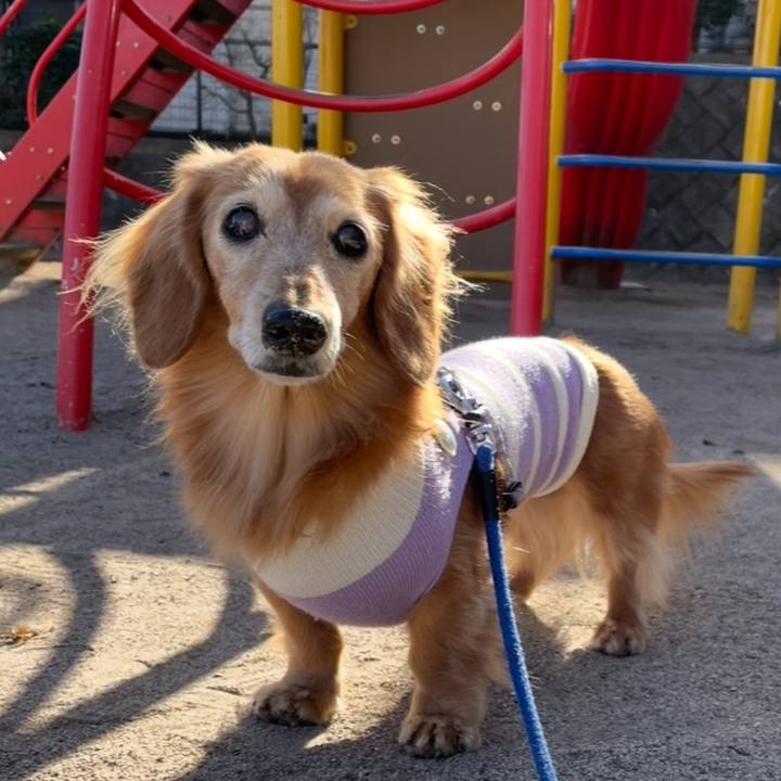 5273c9fa 1ef8 42c2 b030 0f6b7dee050e 1761261712333