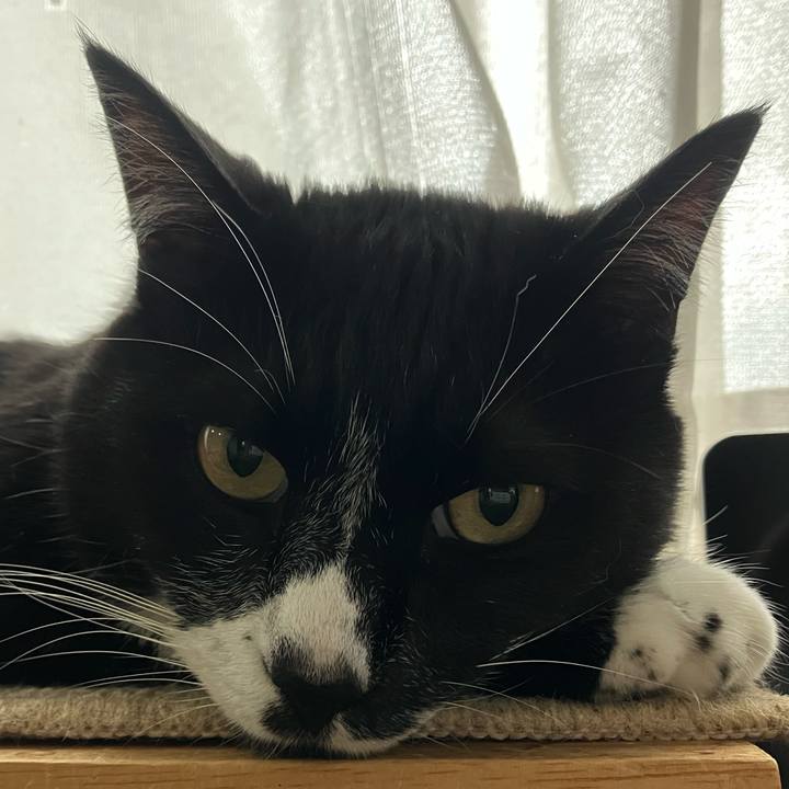 5273dda5 08cd 40ec bf65 4883dae40d6d 1720871530545