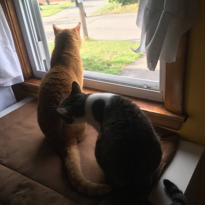 5273f029 fc59 4d4d 83bf bf4d2a27bf04 1633654645024