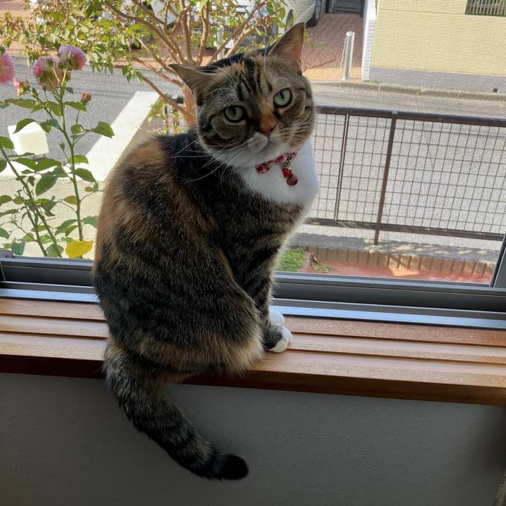 5273fcd1 d292 4b4d a07a 58390ede0bfc 1762488874605