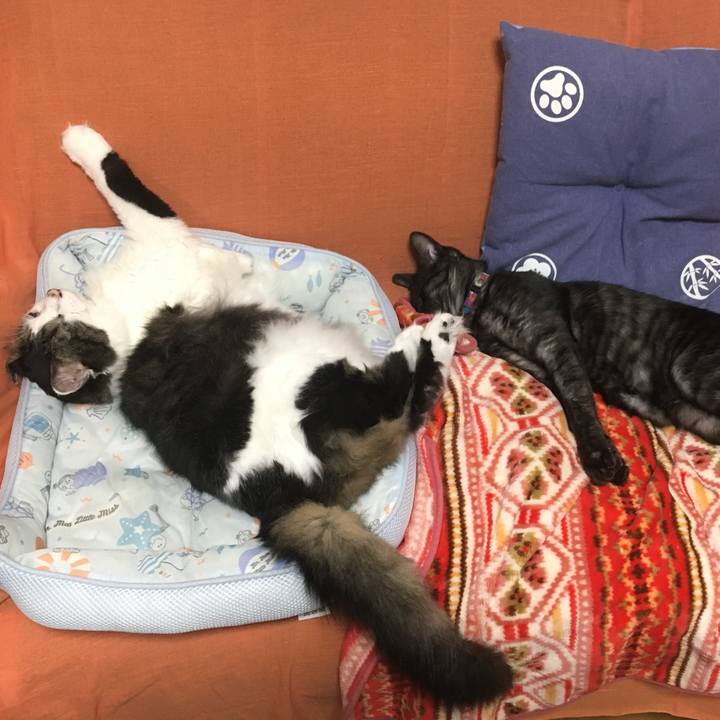 52741799 c656 4654 bda6 8e50decdb107 1734690791244