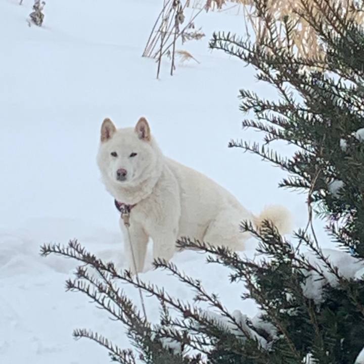 527455c7 d249 4b97 b37f 161b395e5238 1581994116813