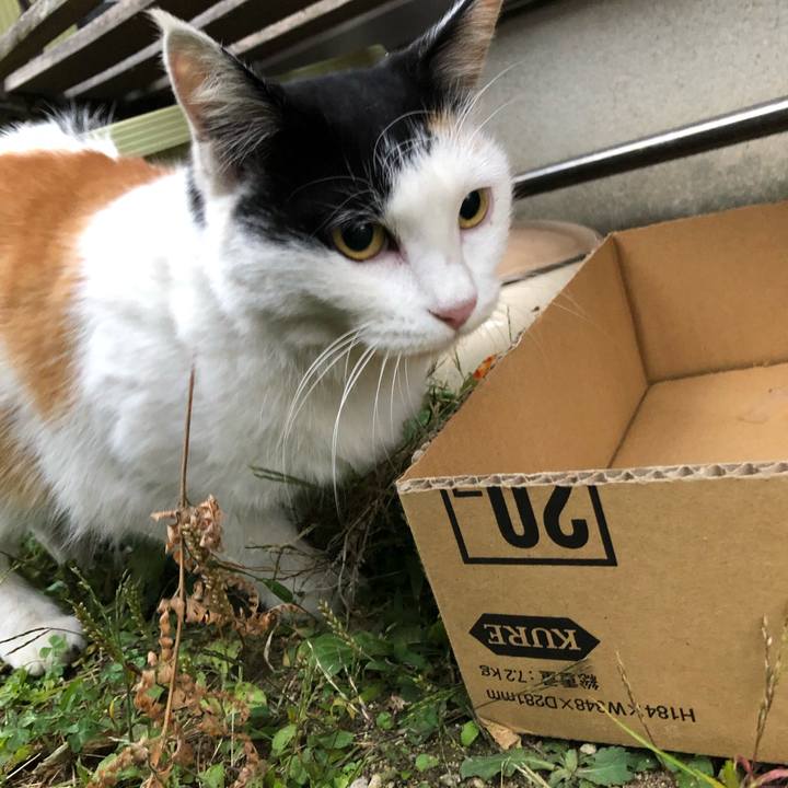 52748e13 1a23 4deb b4c3 a37a927f5511 1604960607619