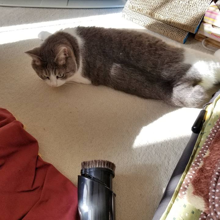 52749752 9108 4f93 bf6c a6d1b7f329f6 1631751181224