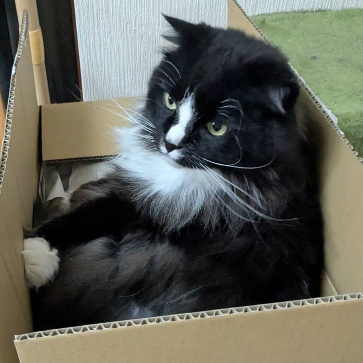 5274a77a 23be 4067 bfa8 4639e9eff1dc 1742989262451