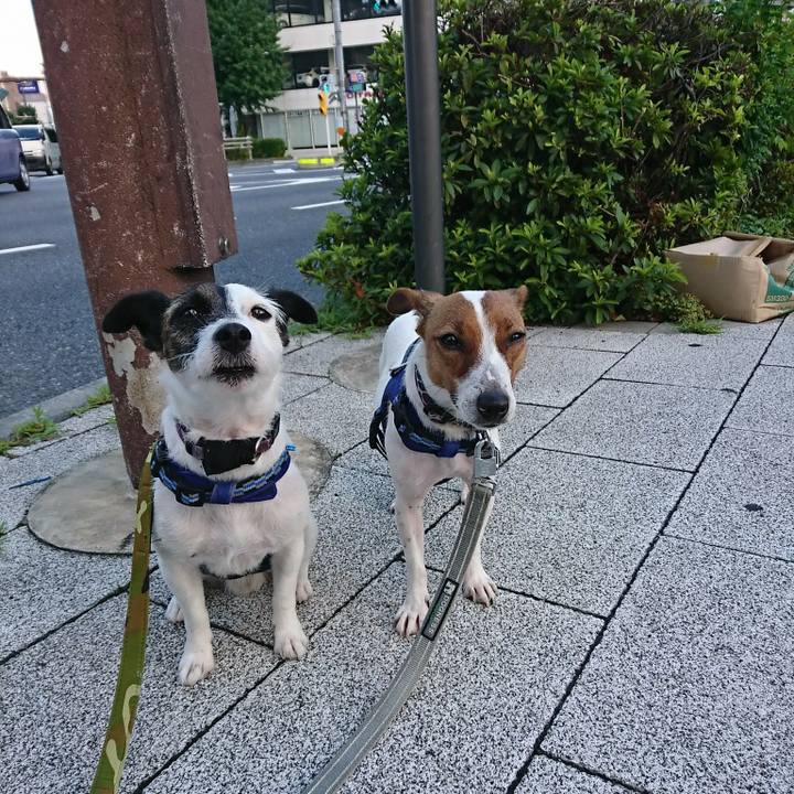 5274c2cd 42a6 4edb 8f58 96e8757680f8 1531086483616