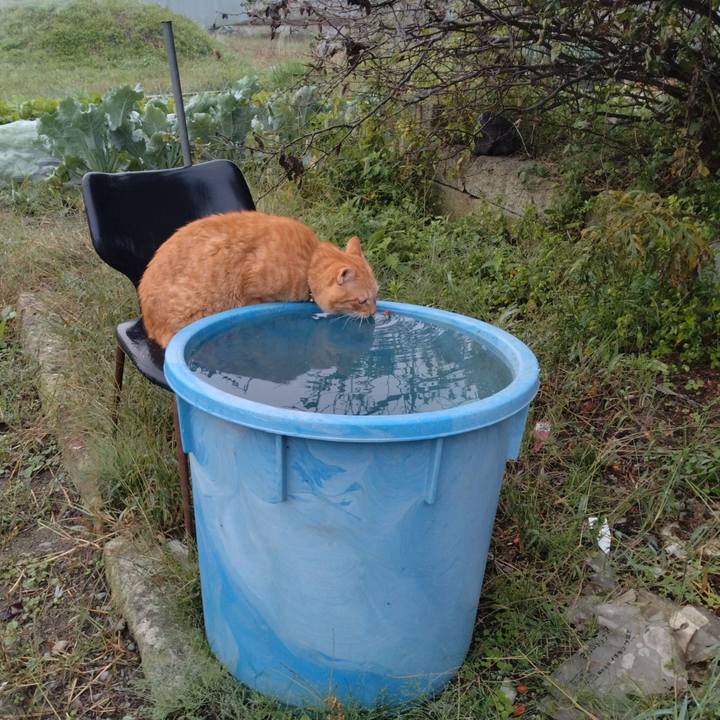 5274c504 3272 44f6 8fb2 3af6a28b133b 1759534554817