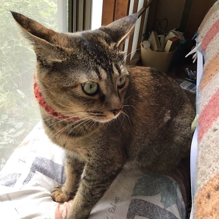 5274d6f6 4c26 4d48 9279 8c94244a6d52 1632277162092