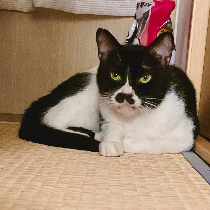 5274f298 749e 4254 b7ce a87601d3a316 1660224642983