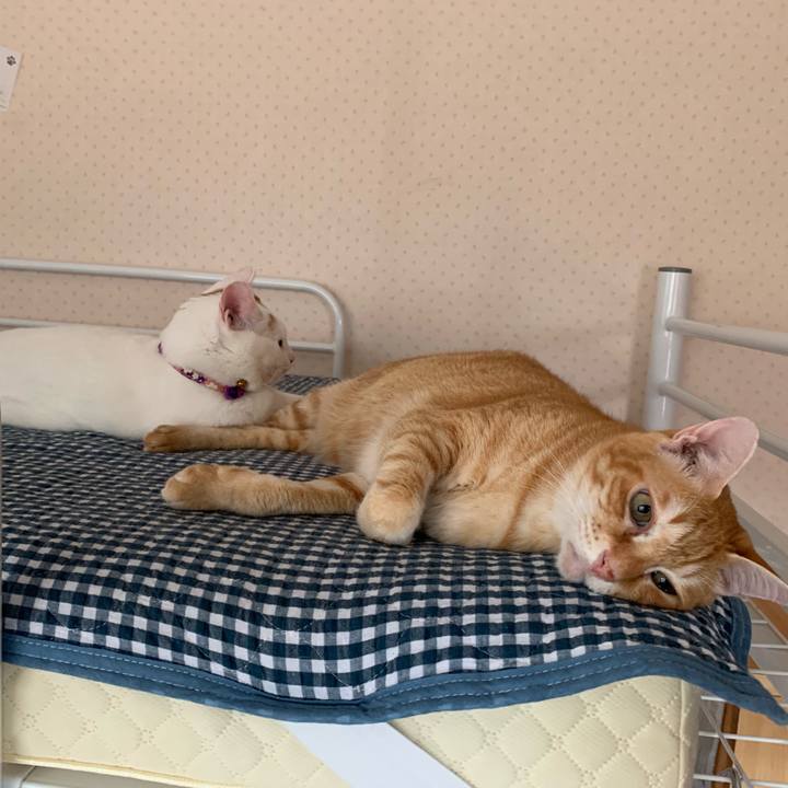 5274f3cd 298d 4d5f a8bc 974facf9264e 1563700781112