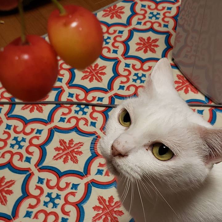 5274fa8e 2964 4a20 bc56 2607563bdec1 1592826387967