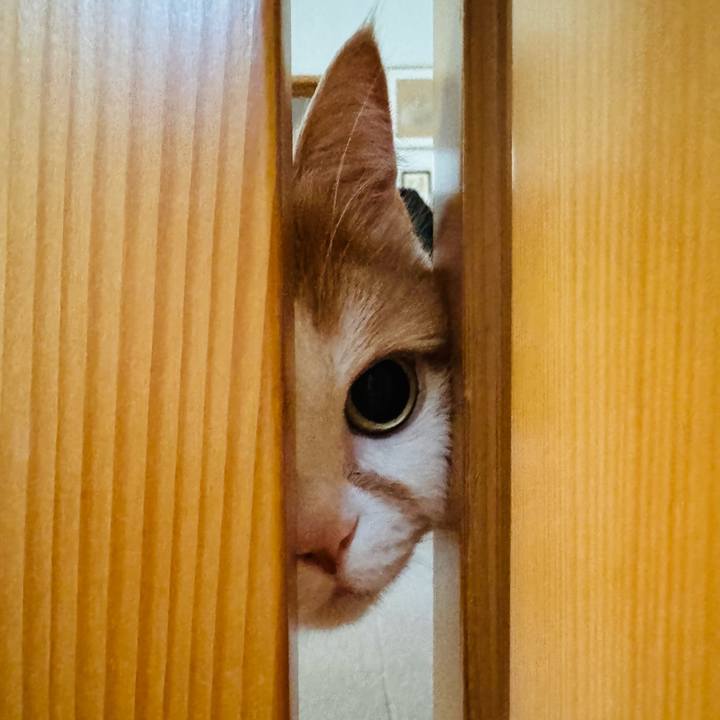 527511fc 1e96 483e bc3a 98347a8c0a8a 1775529221852