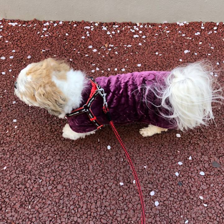 527525df 817b 4203 9fc3 ff827b3688cb 1586382364983