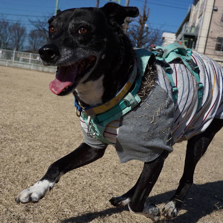 52758550 1832 4a31 8265 48ec565fdf36 1773537812414