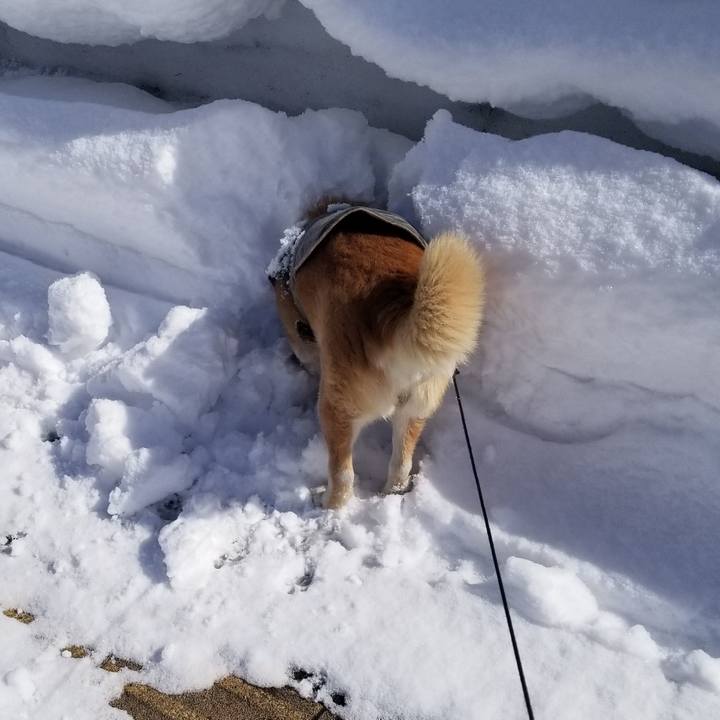 52759fbb b9a0 413b bf8d 15aaea0fac6e 1739855942163