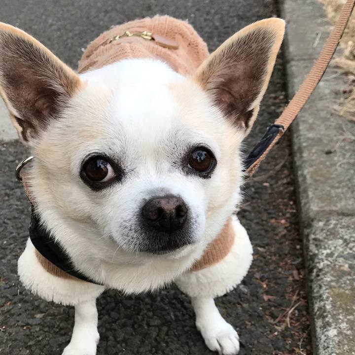 5275b636 65ba 4b3f a4b7 420f90c2971e 1520337724011