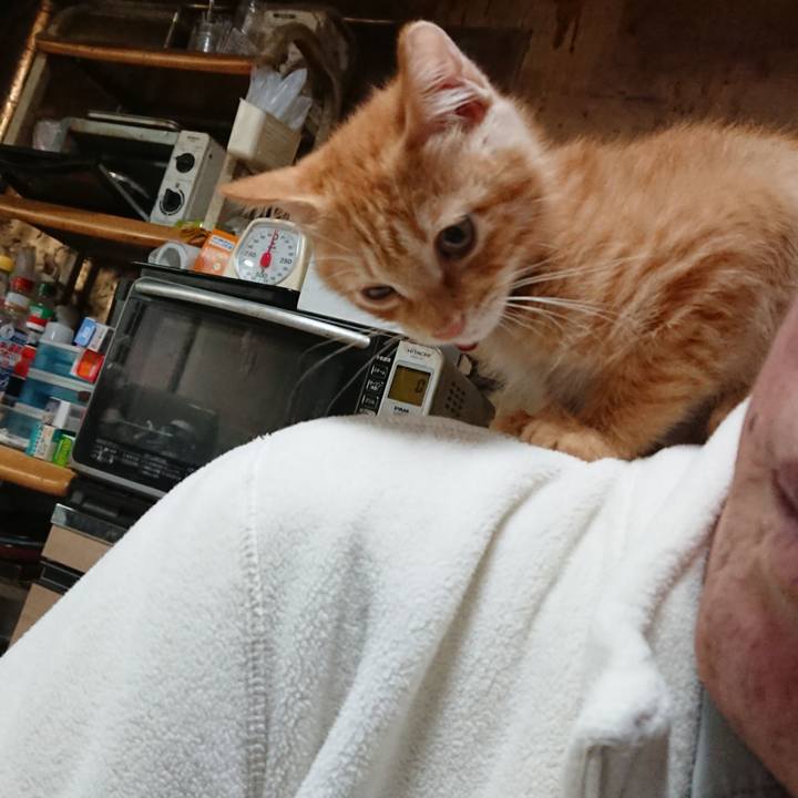 5275d517 1c22 4b6d abde 220ce32d678d 1631569044153