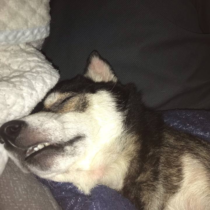 5275e1da 8213 446a b81c 28385a8155bc 1630041071529