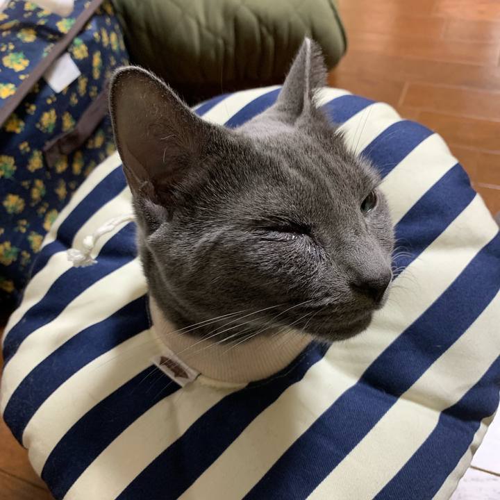 5275ebec b135 4284 809f 6ee2335aeb34 1572273134961