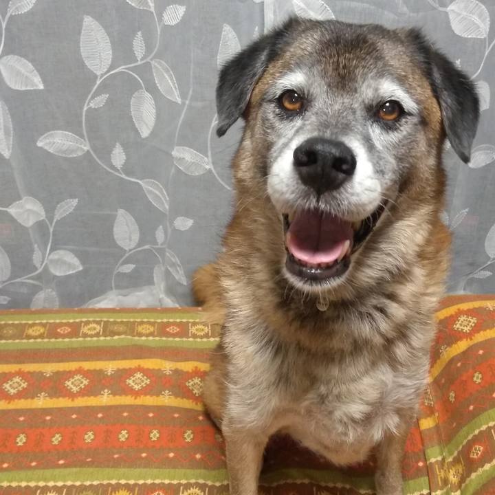 52760499 eca7 498e 8fef 19868194a074 1569230886159