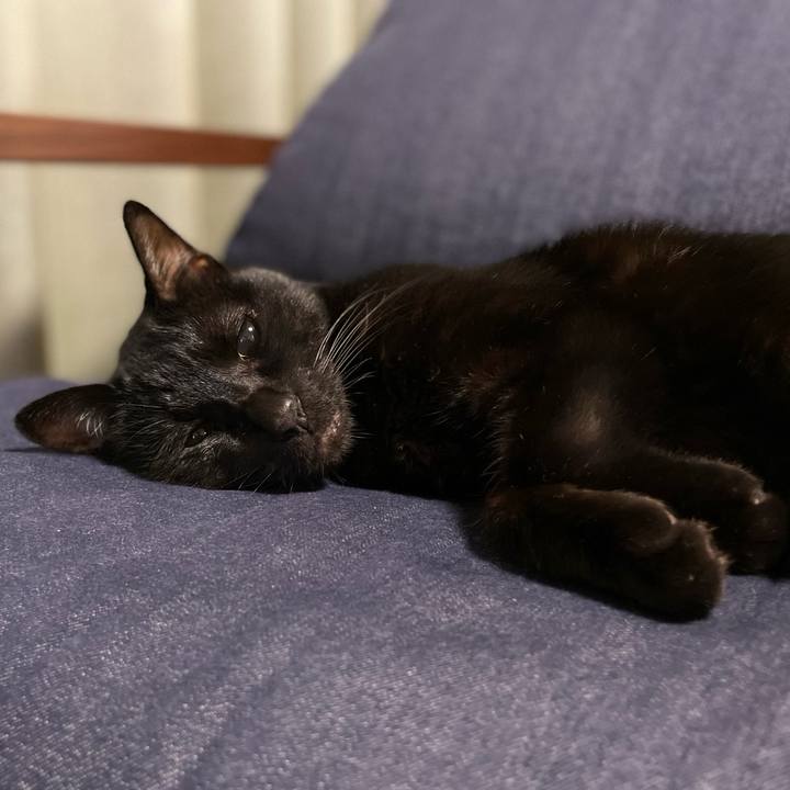 527629d5 bc33 45de 9f03 f171c8fc5c5d 1663588489274