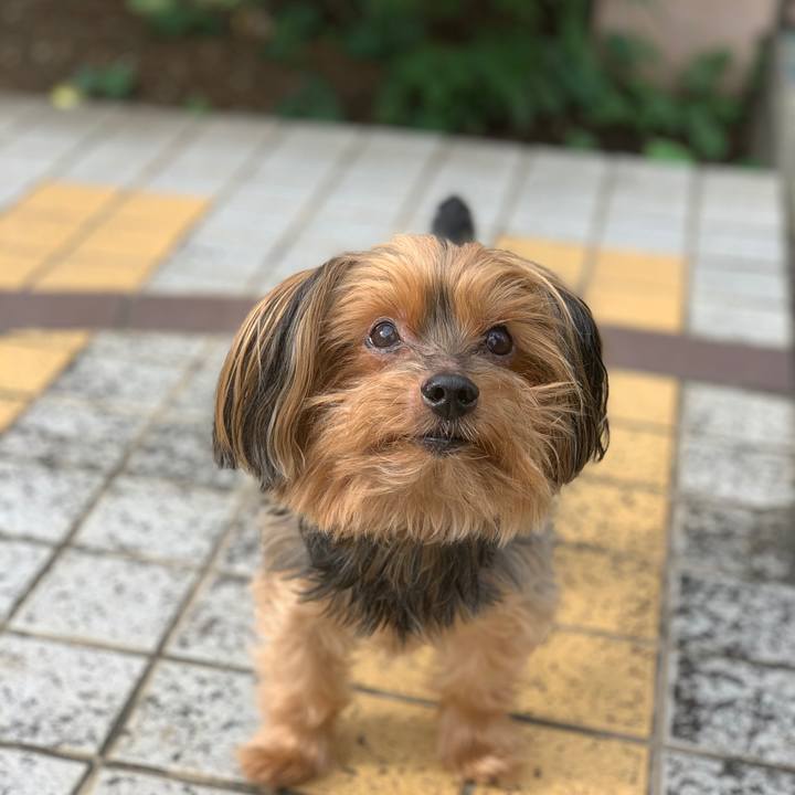 52762b4a 592a 4219 98bd dc96ae37b99f 1601248862726