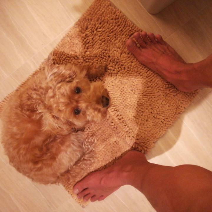 52762df4 7d06 4aee a9b5 850e8908bbcc 1527026206656