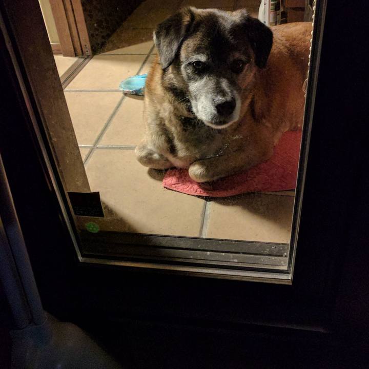 527656d4 5ac1 4005 a268 1a8ec6b5b58a 1724455799151