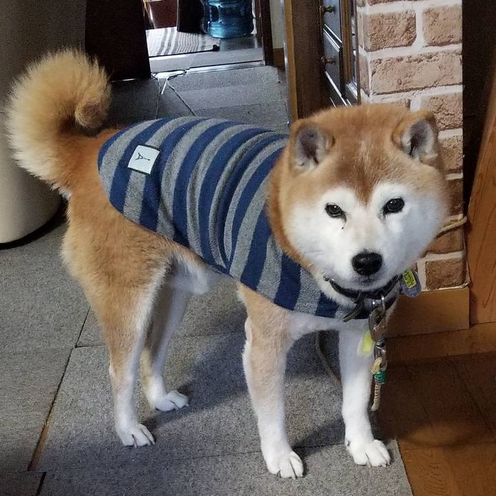 5276f887 23a1 4da5 89ab e876bb9bd2bb 1670748387283