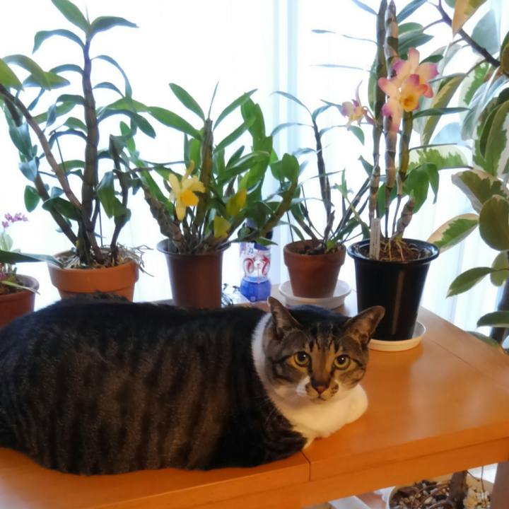 5276fda7 a6db 4fad 8486 9fe35af5fa39 1520031341429