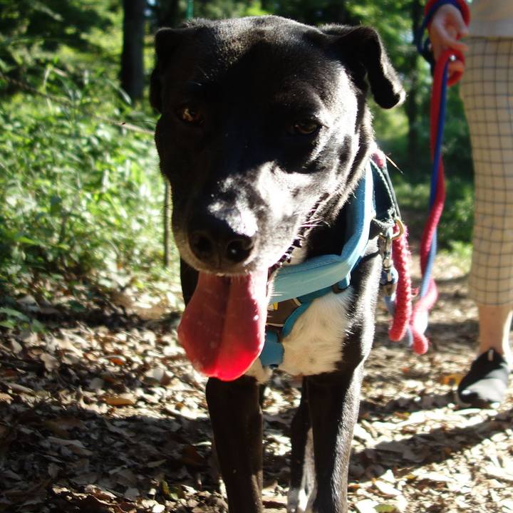 52771eb1 cc8f 4df3 84fc 5d2157acc311 1626913254447