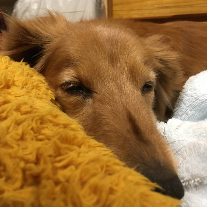 52772839 8571 4c2b 9e15 5e2506c707a4 1621691032392