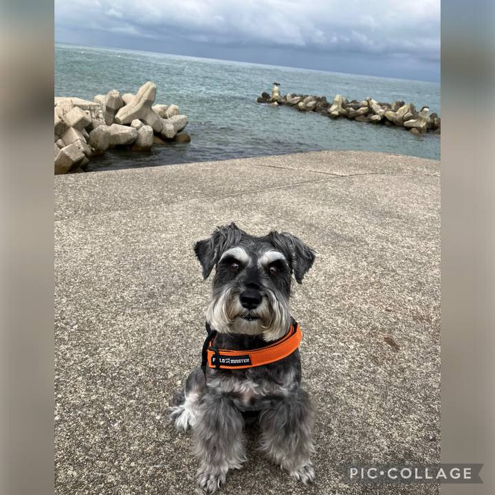 527740f0 f57c 4ecf 9953 c2b62a34f376 1723787283843