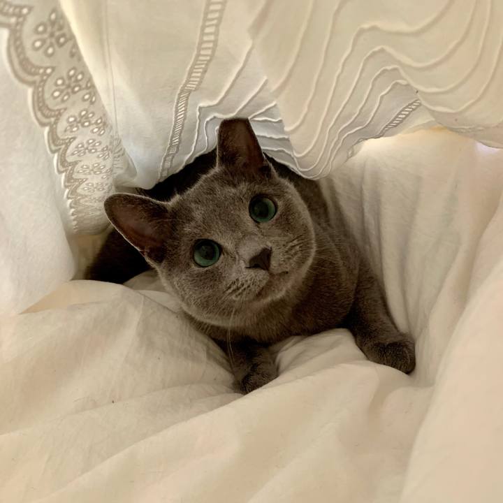 52774e05 69b4 4d44 9fe3 7342c17d5e47 1582329174670