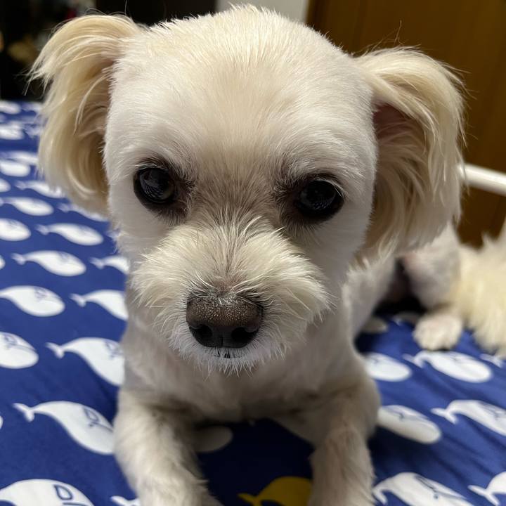 52775794 2eca 4df7 a34e 26412082fd49 1661868403911