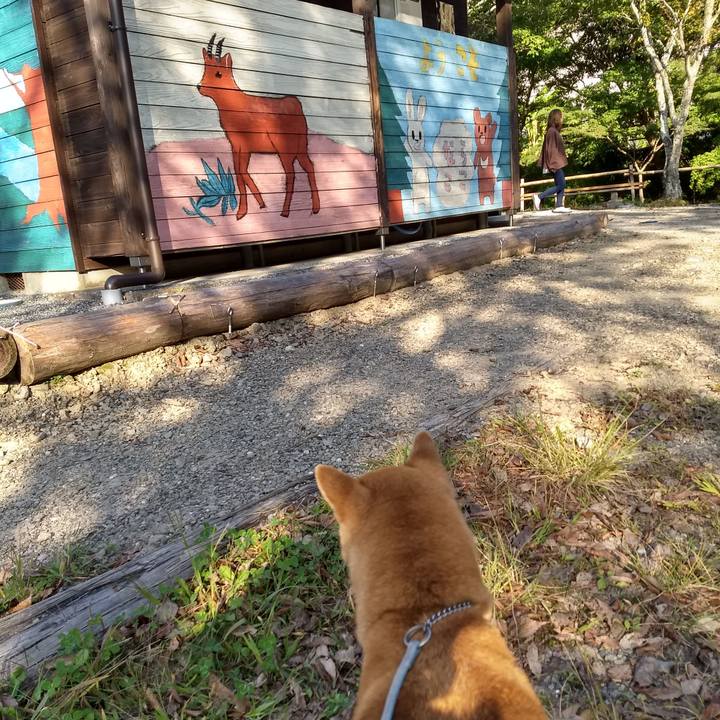 52776054 e8ff 4334 8c7f de258f7b48de 1573766312520