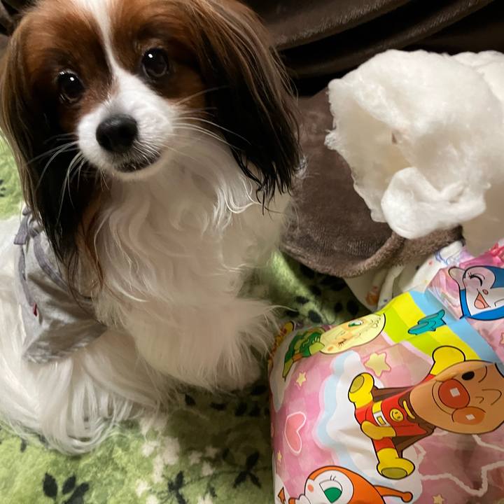 5277ef83 0033 429c b5f6 d3fbab04787c 1714185000263