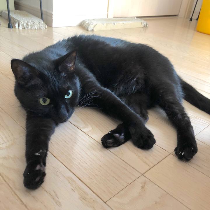 5277f063 e48c 4718 8e14 1ee01fac1dbf 1550799585755