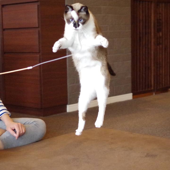 5277fccf b40d 43d9 aa12 3266084024b1 1520049202726