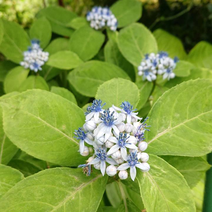 527818a4 e006 4bf4 914a 66ecc0d083a2 1655525377195