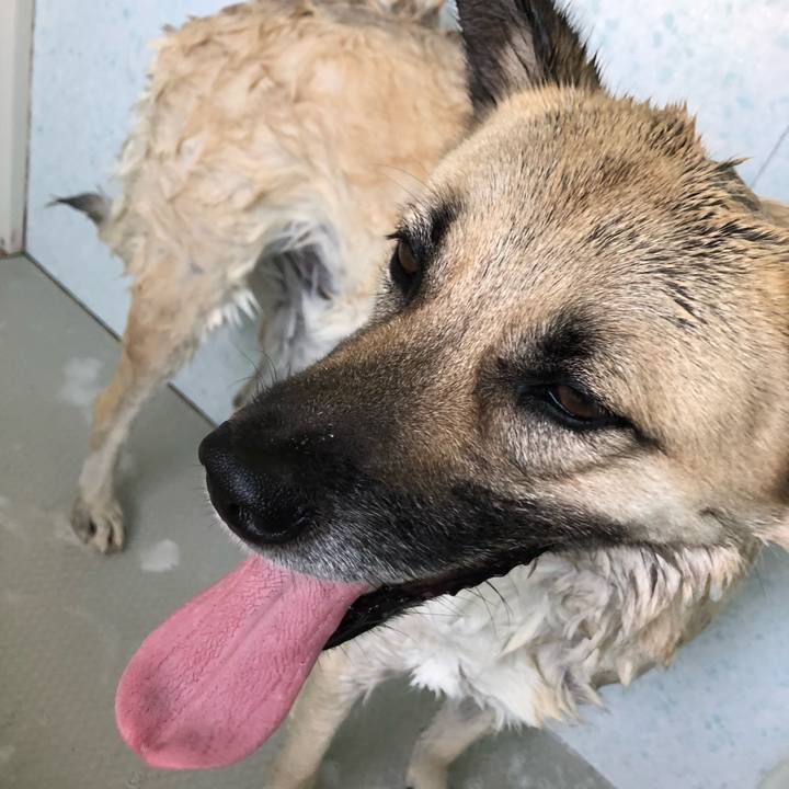 52785df1 053e 4fa9 ad60 ade3d5b9d88d 1562406452205