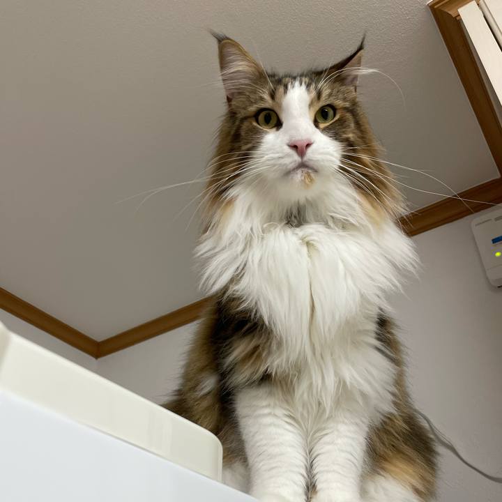 52787366 bfee 4398 8ccf 67dbbec86ad6 1672481301287