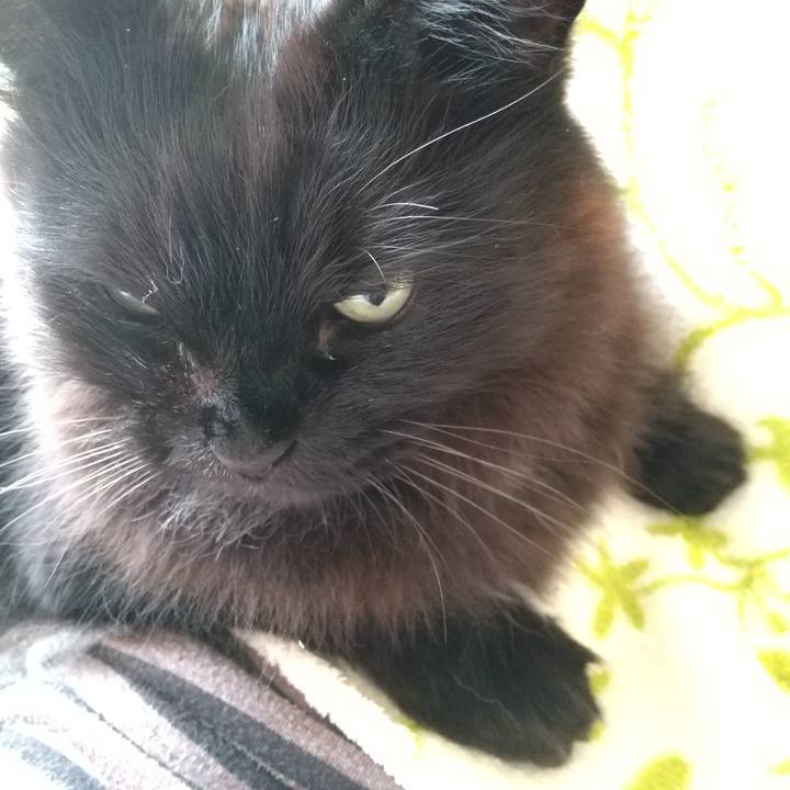 52788ea9 b2e8 4452 8859 fd52572466ef 1589936994091