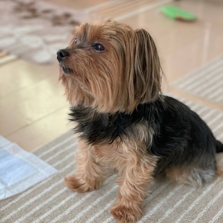 5278c054 a0ef 4755 9713 4ebef24ebe16 1602566073164