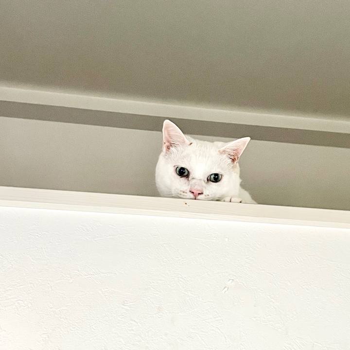 5278dbbe eff0 417a 9423 4d6651d6c7b3 1716868388509