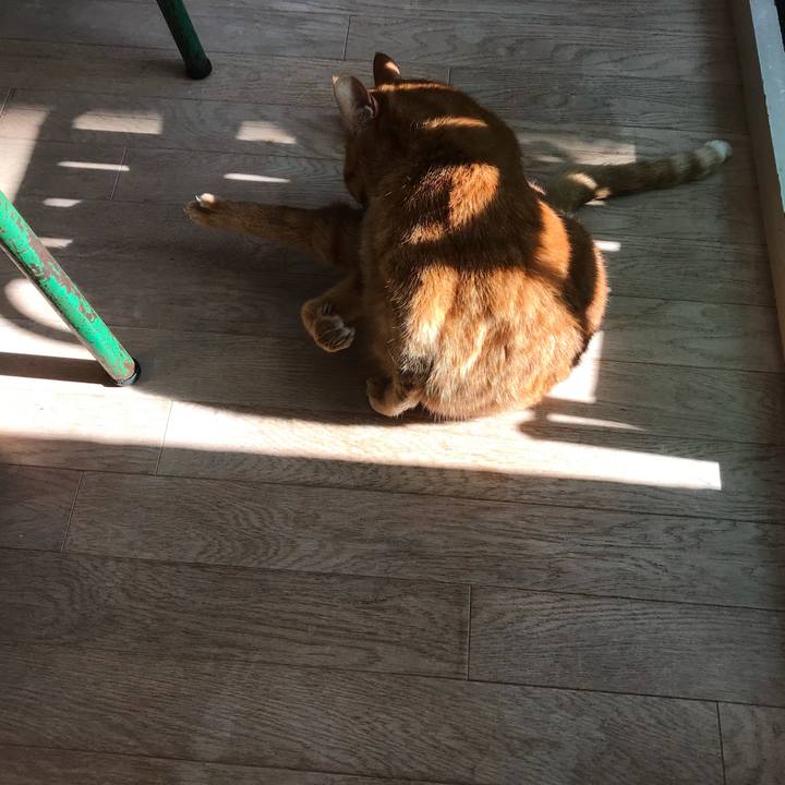 52794f4e 6390 416a 95d0 e6dced85baec 1515220023253