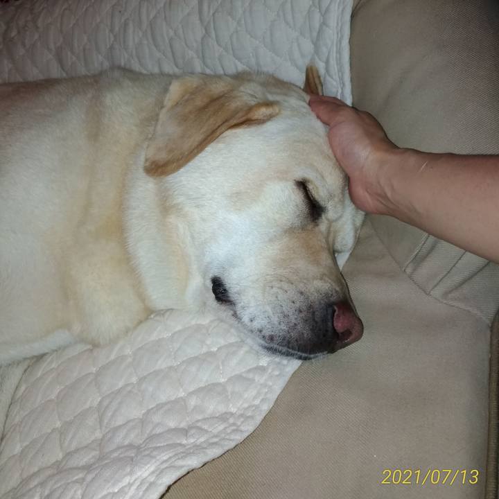 5279869e fed7 4465 92f2 44ec97012b57 1626155457924