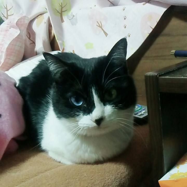 52798912 d590 46e9 ac25 832168e9d6af 1522410191741